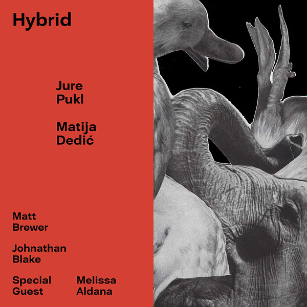 Jure Pukl - Hybrid
